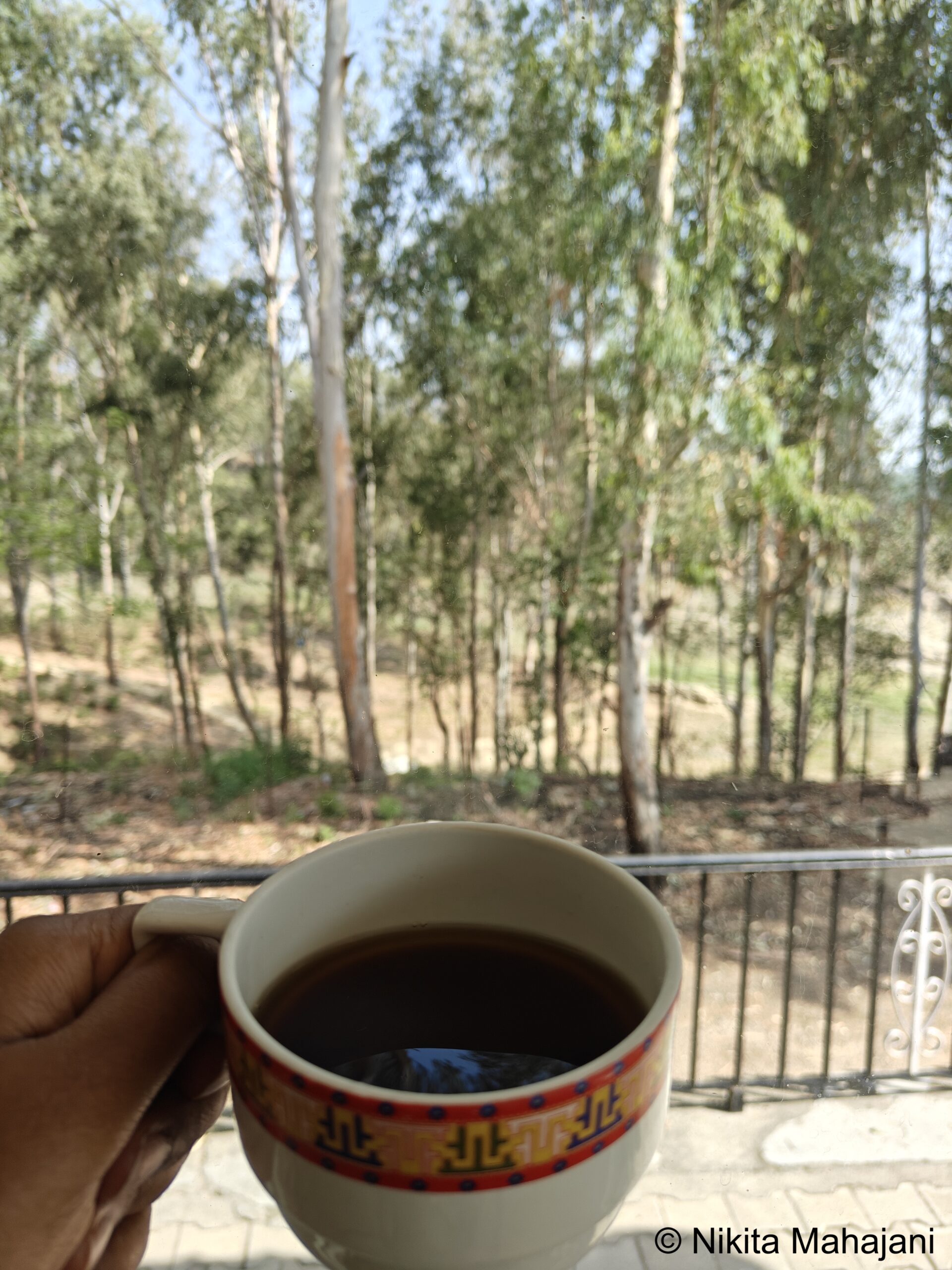 HPTDC- Maharana Pratap Sagar Camping Site and Cafe, Khatiyar.