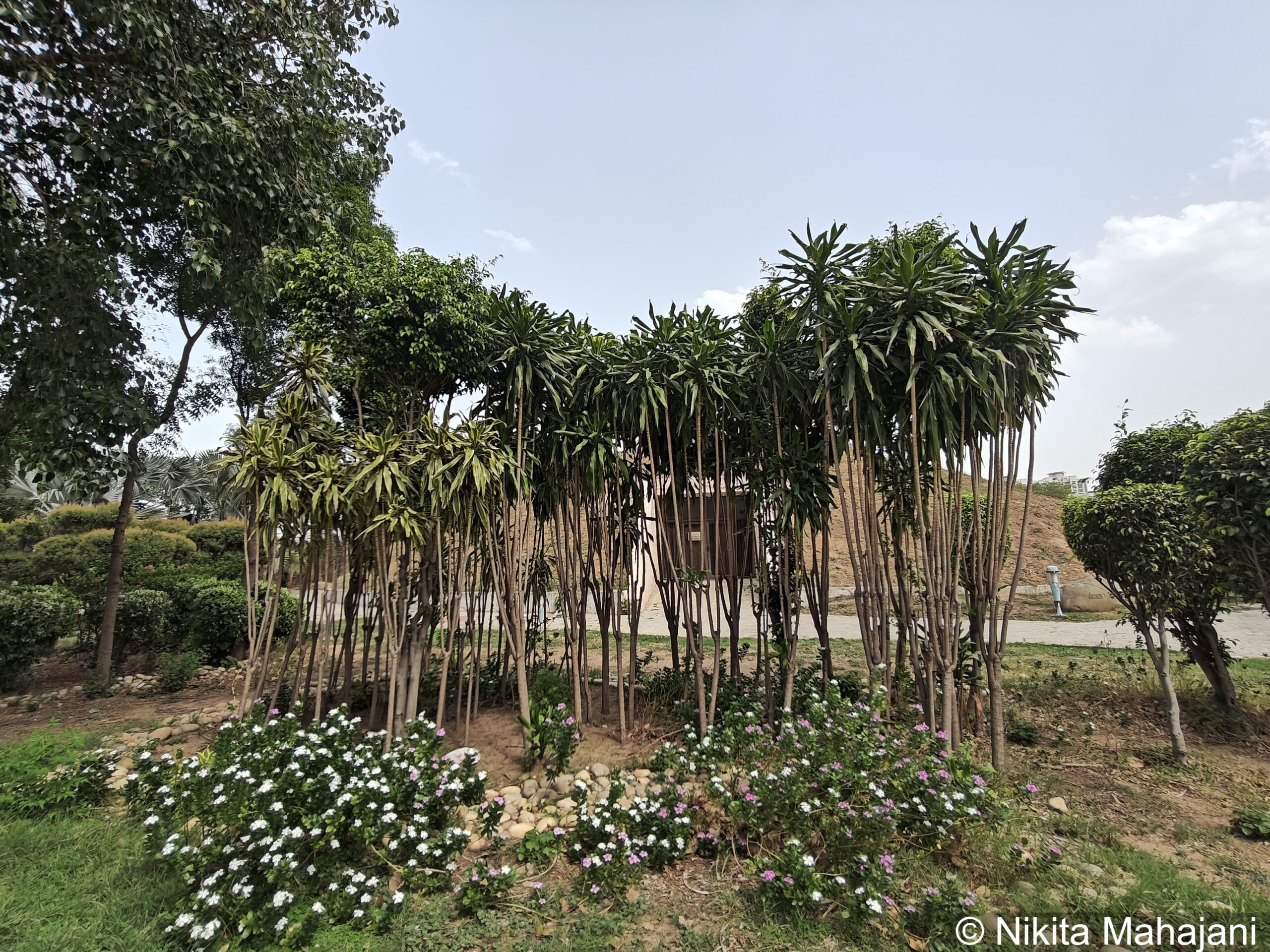 Chappar Chiri War Memorial historic place, Mohali.
