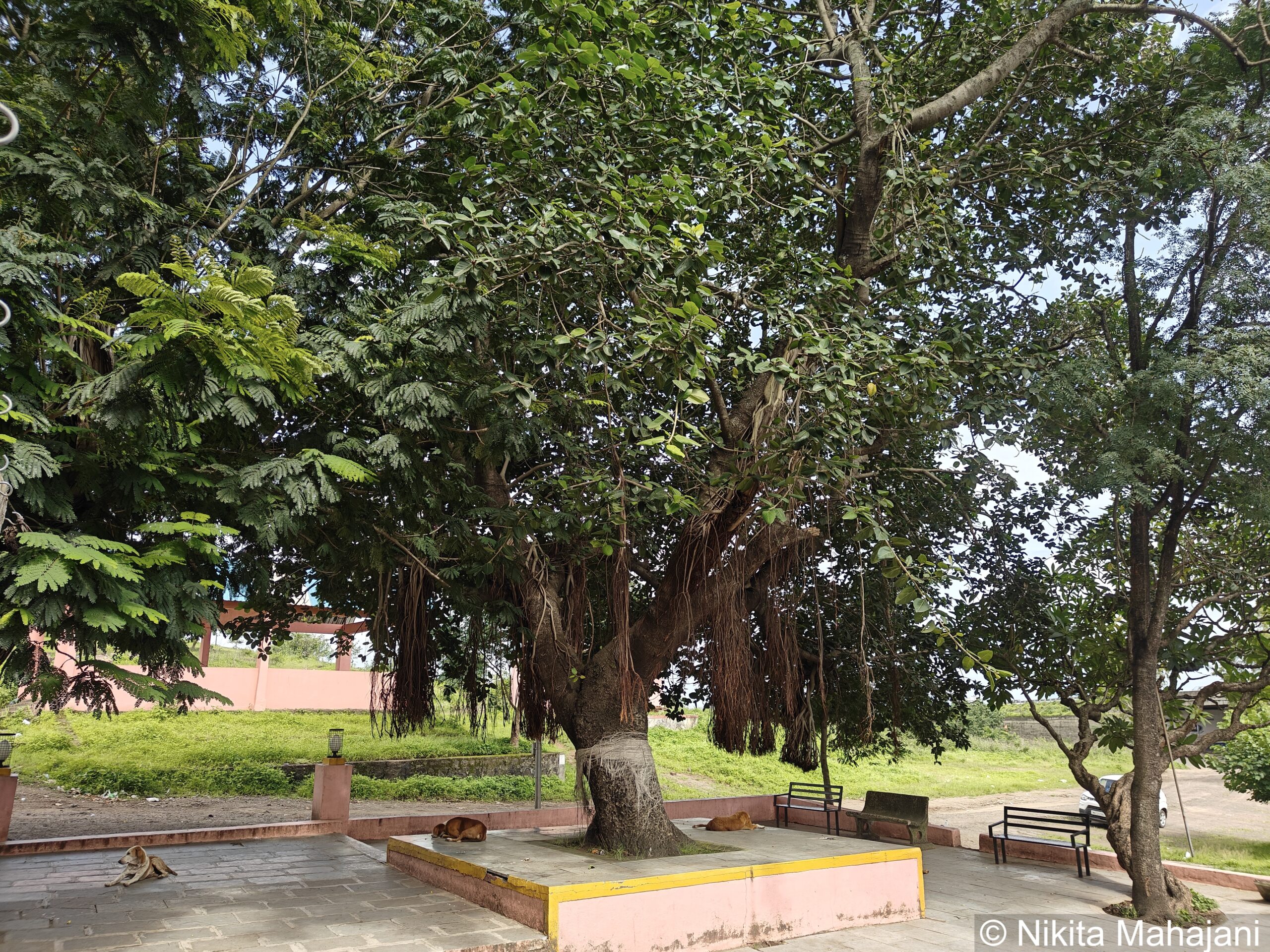 Shree Adbal Siddhanath Mandir, Shirwal.