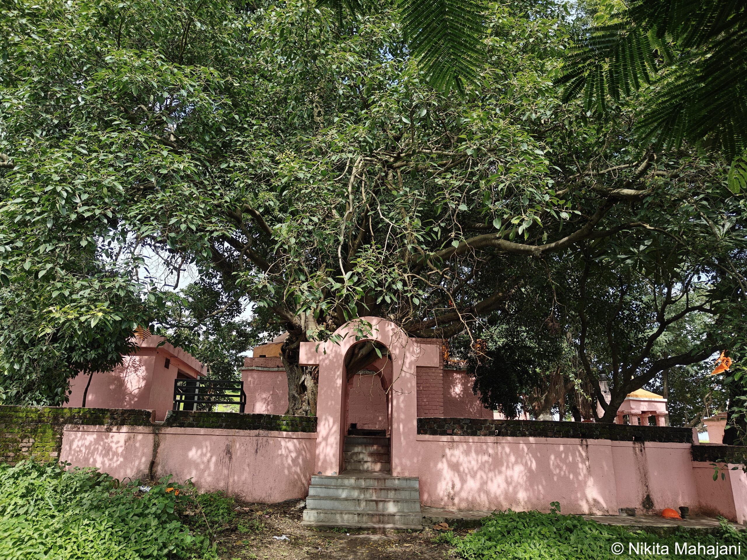 Shree Adbal Siddhanath Mandir, Shirwal.