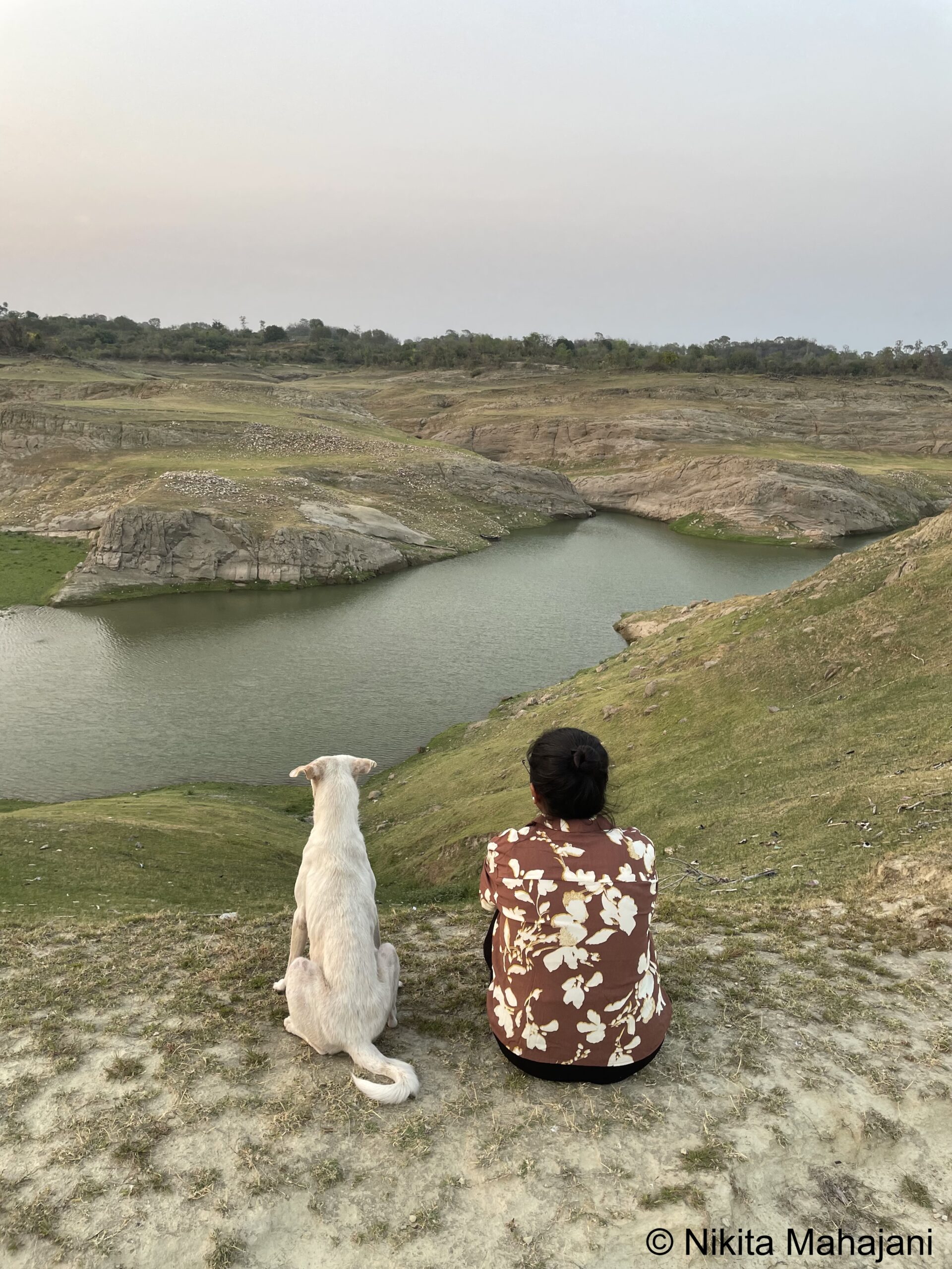 View of Pong Dam backwaters, Khatiyar.