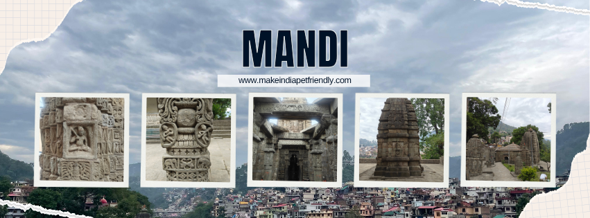 Mandi