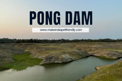 Pong Dam