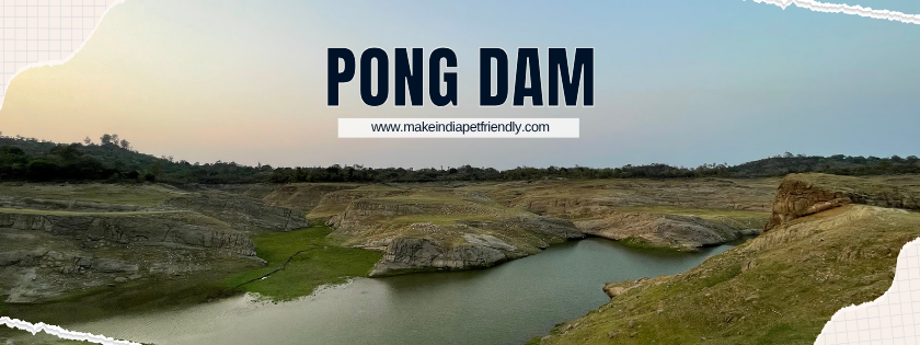 Pong Dam