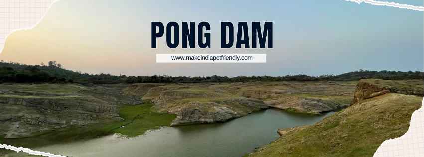 Pong Dam