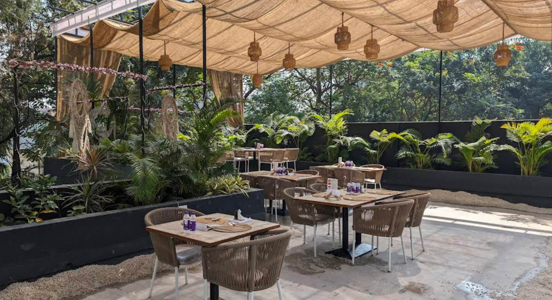 The Pet Cafe, Koregaon Park