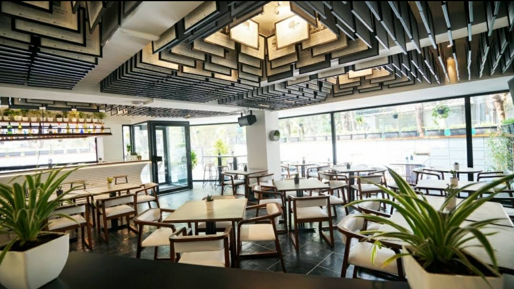 The Daily All Day, Koregaon Park