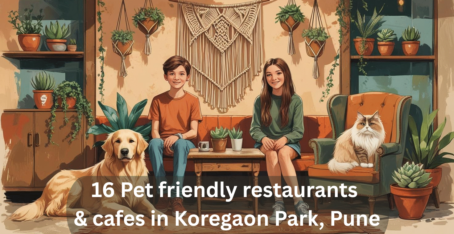 16 Pet friendly restaurants & cafes in Koregaon Park, Pune