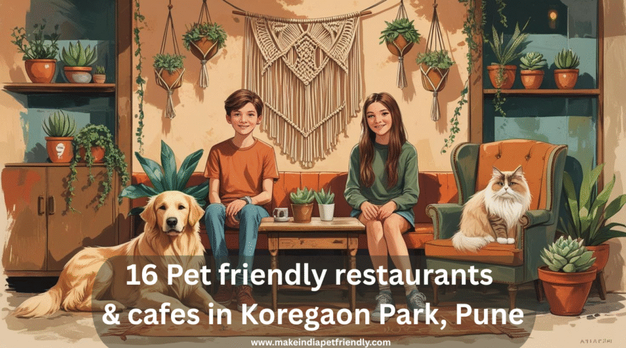 16 Pet friendly restaurants & cafes in Koregaon Park, Pune