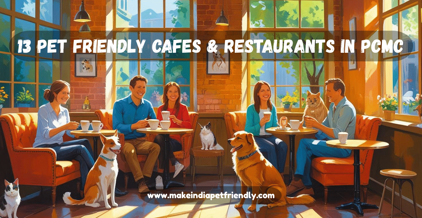 13 Pet friendly cafes & restaurants in PCMC