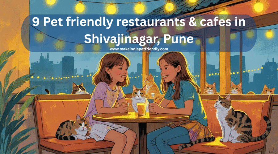 9 Pet friendly restaurants & cafes in Shivajinagar, Pune