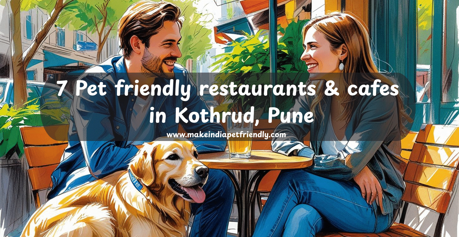 7 Pet friendly restaurants & cafes in Kothrud, Pune