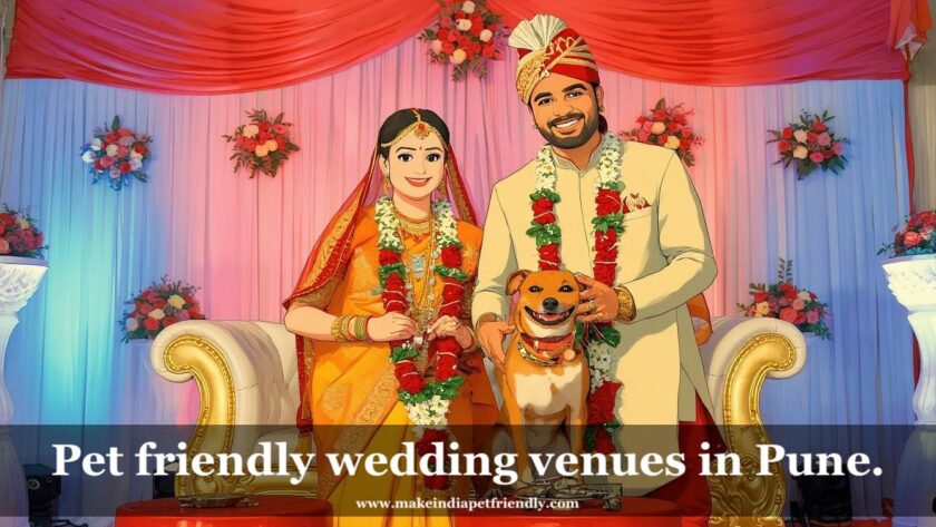 pet friendly wedding venues pune