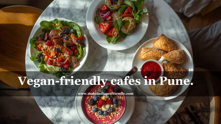 Vegan- friendly cafes in Pune