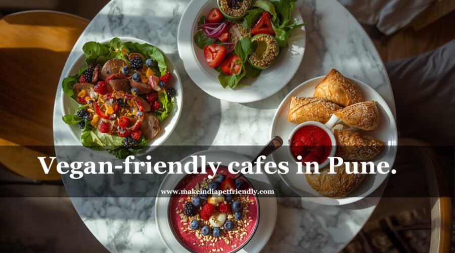 Vegan- friendly cafes in Pune