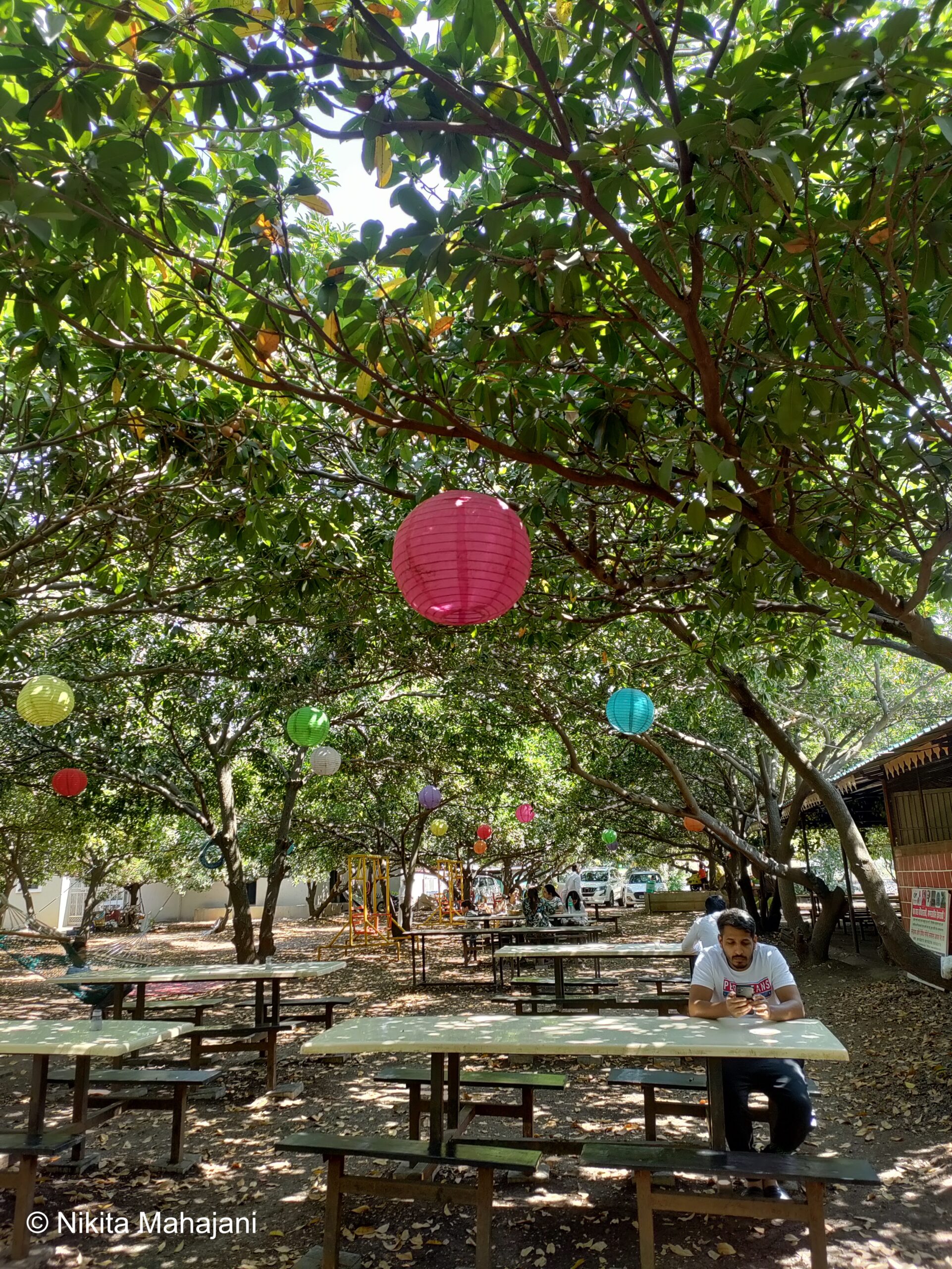 Phalke Farm Chikoochi Wadi Pure Veg