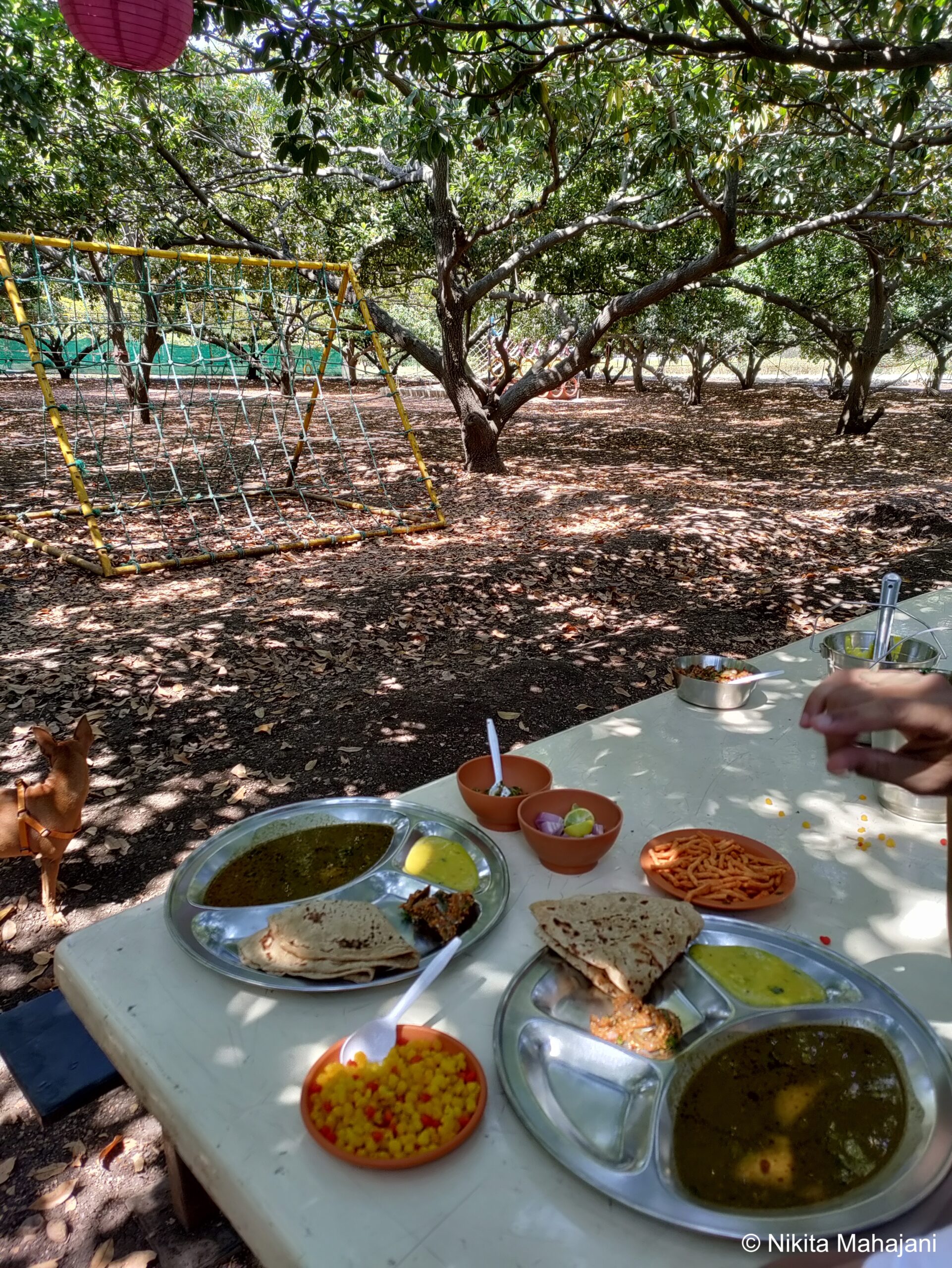 Phalke Farm Chikoochi Wadi Pure Veg