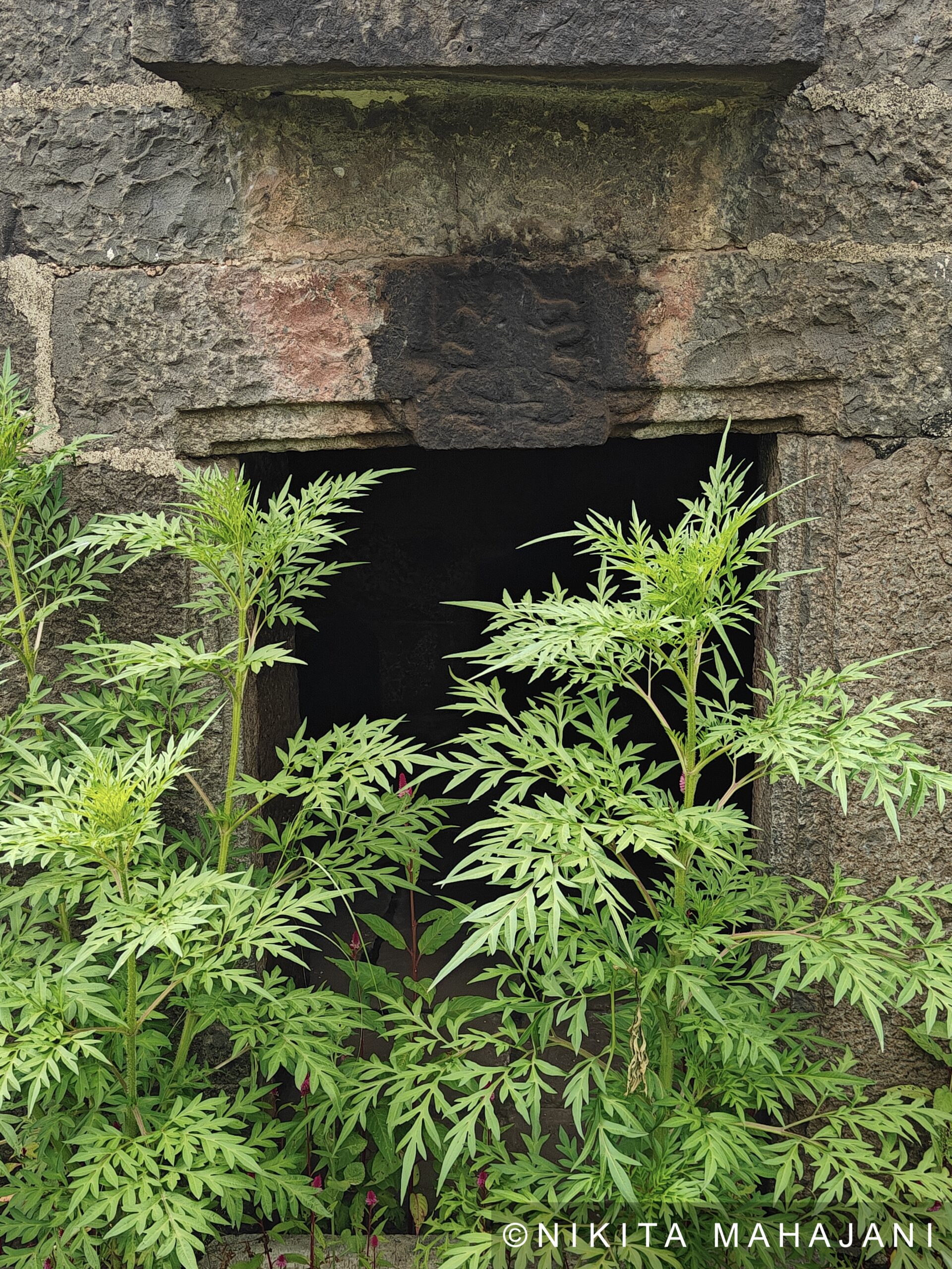 Chalukya era Shri Naath Temple, Velapur
